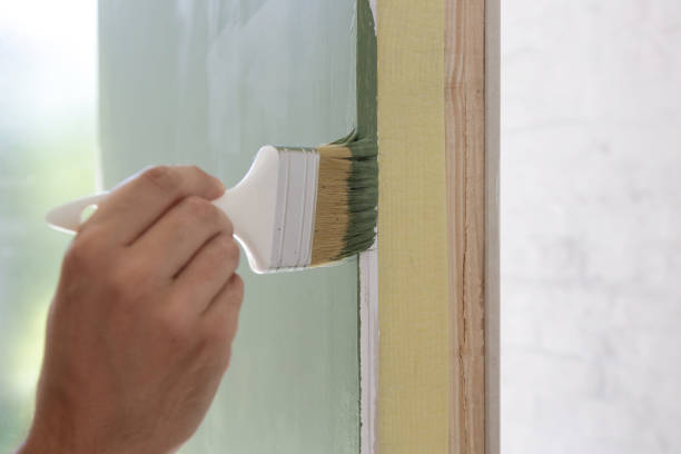 Best Black Mold Removal  in Elm Springs, AR